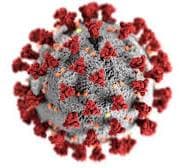 COVID-19 SQL Analysis